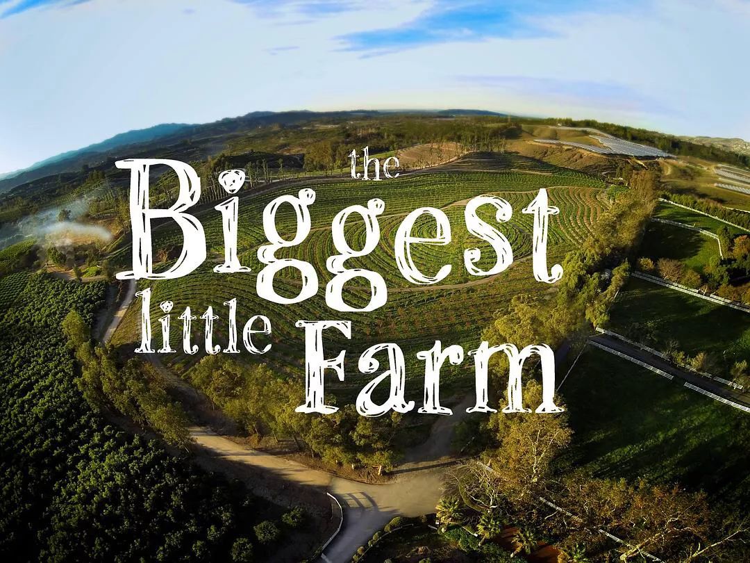 豆瓣9.3分这对夫妻打造1200亩生态农场，“堪称美版「李子柒」”