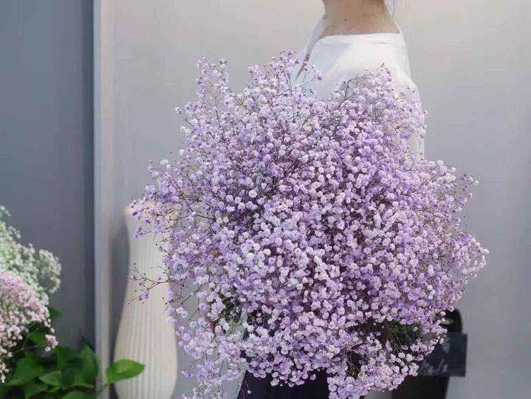 怒放的生命原唱完整版,怒放的生命