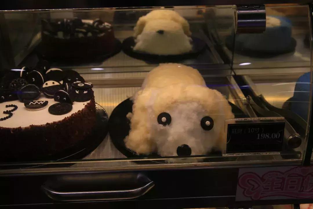 信阳西亚都有哪些门店,信阳西亚有多少门店