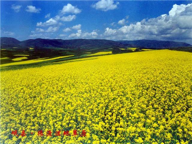 探丝路之旅,探丝路风情