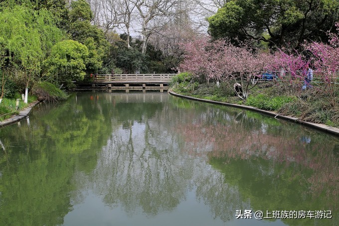 周末微旅行：秦望山麓访名校，白沙堤岸醉桃柳（第二季）