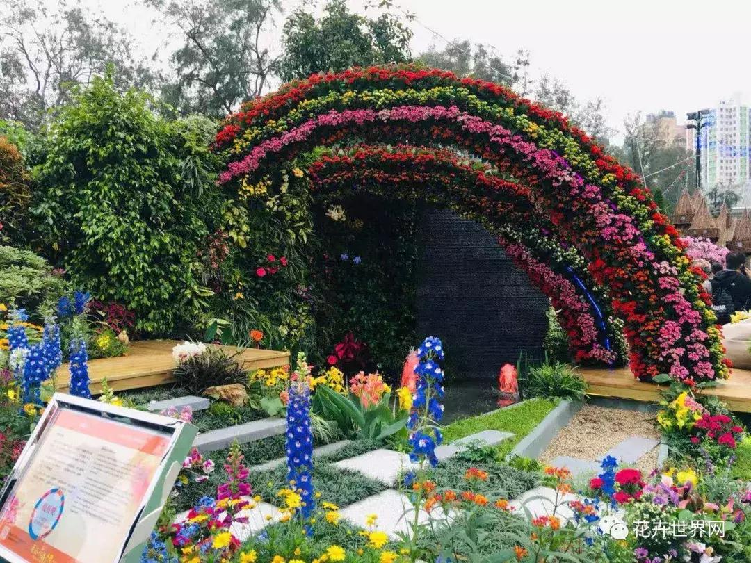 香港花卉艺术展,共赴盛会活动