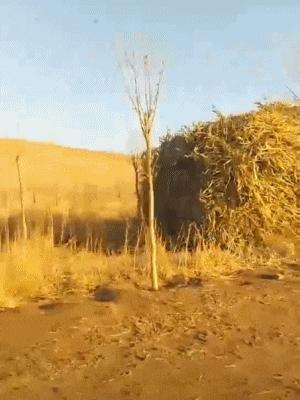 学会这招不愁找不到女朋友,学会这几招不怕找不到女朋友