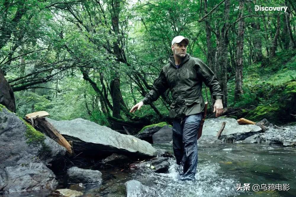 四月正在热映的电影,四月份热映电影