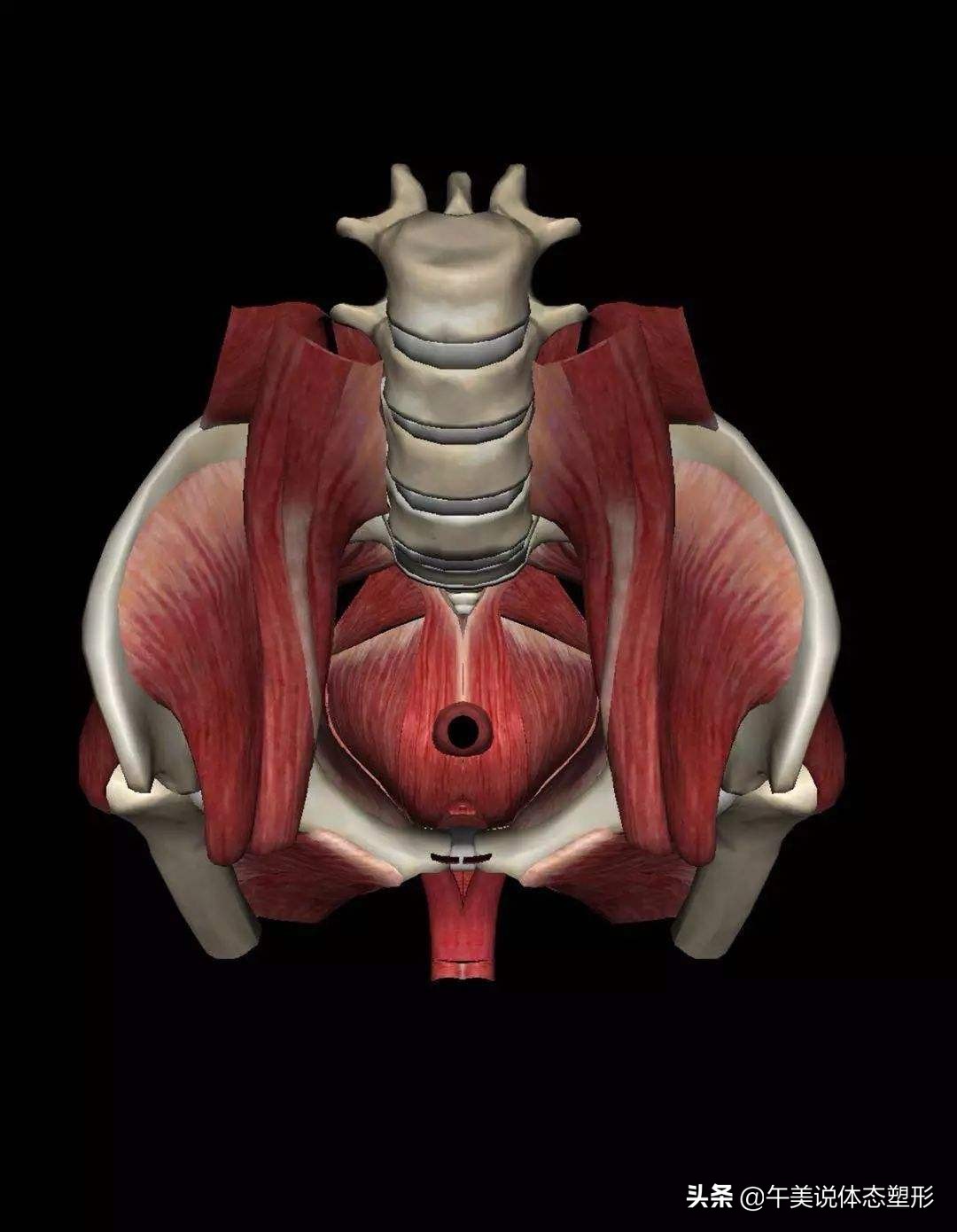 宝妈小腹突出怎么锻炼,宝妈肚子怎么练都紧致