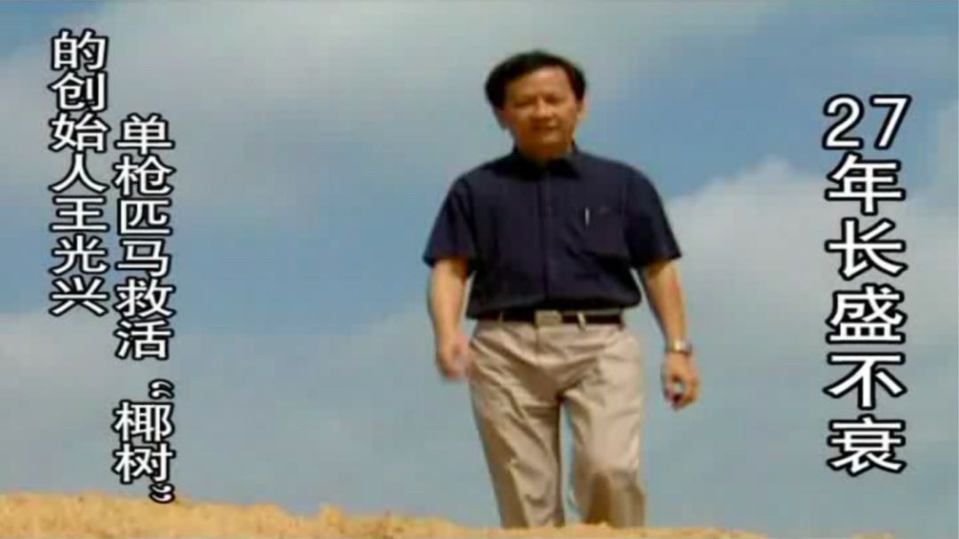 椰树牌广告擦边引发争议,椰树牌椰汁广告为何被罚款