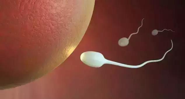 如何评估女性生育力情况,女性生育力从哪里看