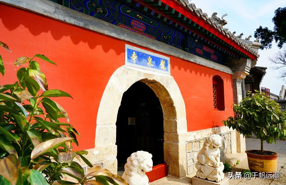 阳春四月迎来春,阳春四月槐花香