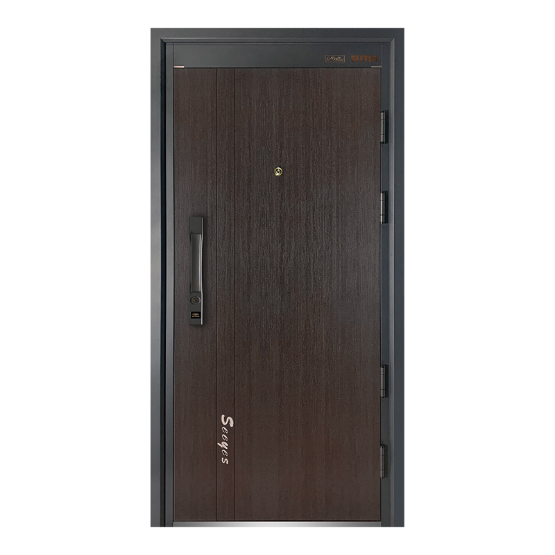 门轻奢系列,现在买什么门好看又实惠