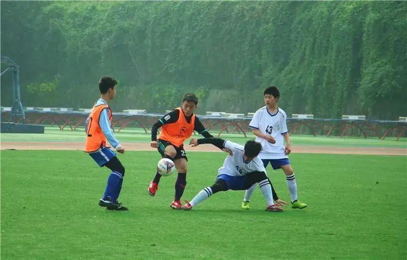 公示！达州2所小学10所幼儿园拟认定为全国特色学校,幼儿园）