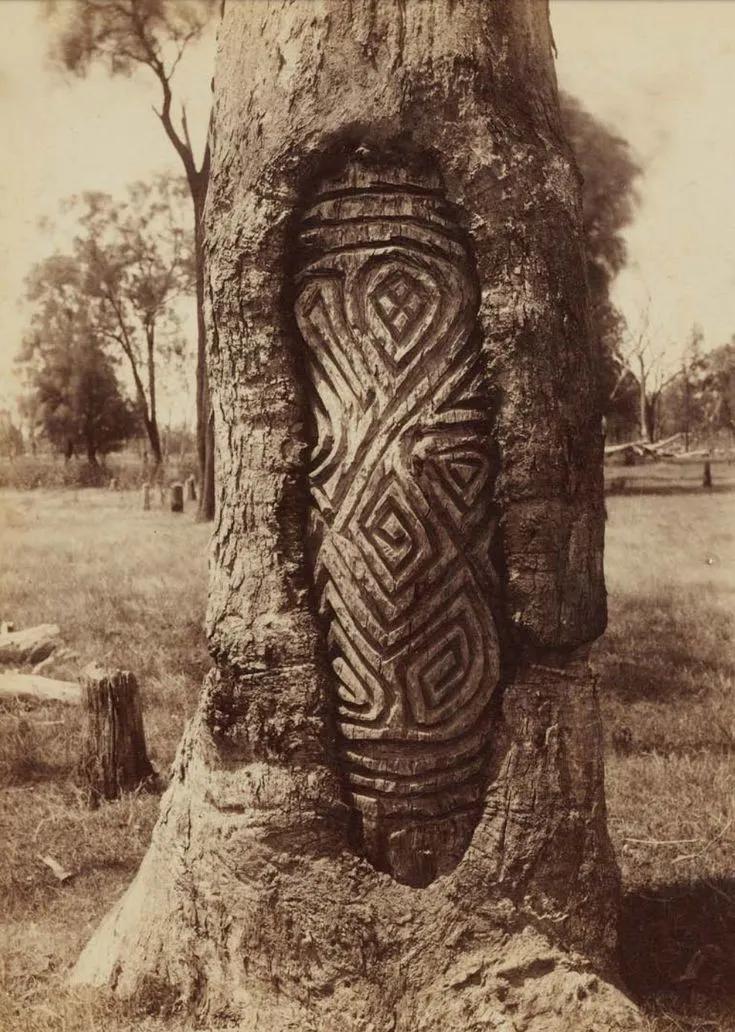 美国大兵在阿富汗留下多少混血儿,澳大利亚士兵屠杀阿富汗