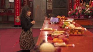 大家都在争抢猫爪杯？吸猫的最高境界，带着摄影机“猫步走天下”