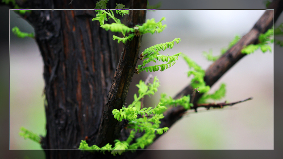 怎么返回多个值,如何创建不重复的随机数