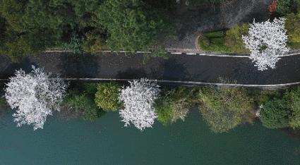 香格里拉经典风景,香格里拉自然风景