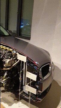 喜欢很久的小哥哥,喜欢了很久的小哥哥