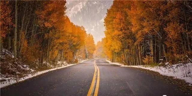 不用开店就能做的创业项目有哪些,冷门创业项目年轻人如何创业