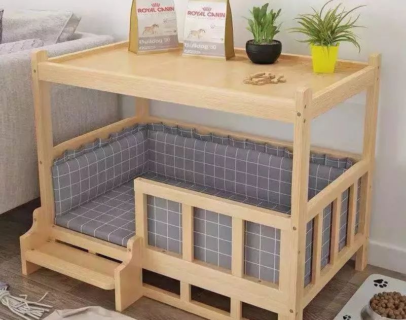 宠物经济市场前景,宠物经济下一个趋势