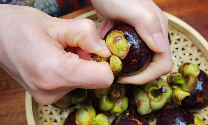 山竹怎么挑选公母不白吃,山竹怎么挑公母区别好坏