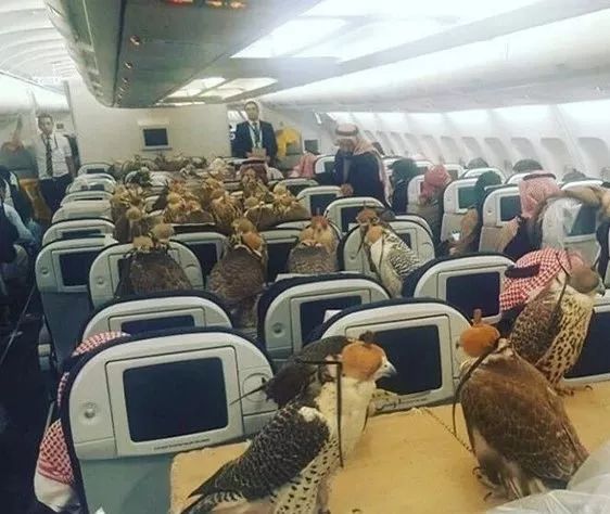 为什么迪拜人有钱,迪拜有多有钱视频