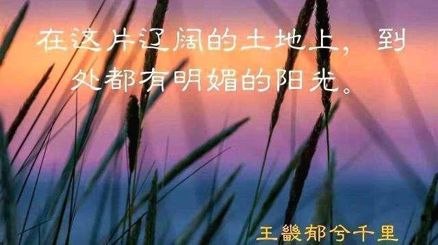 宁夏十大最美县,中国十大最美城市银川