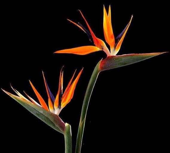 做人处事如何把握好度,怎样做人才能混得好