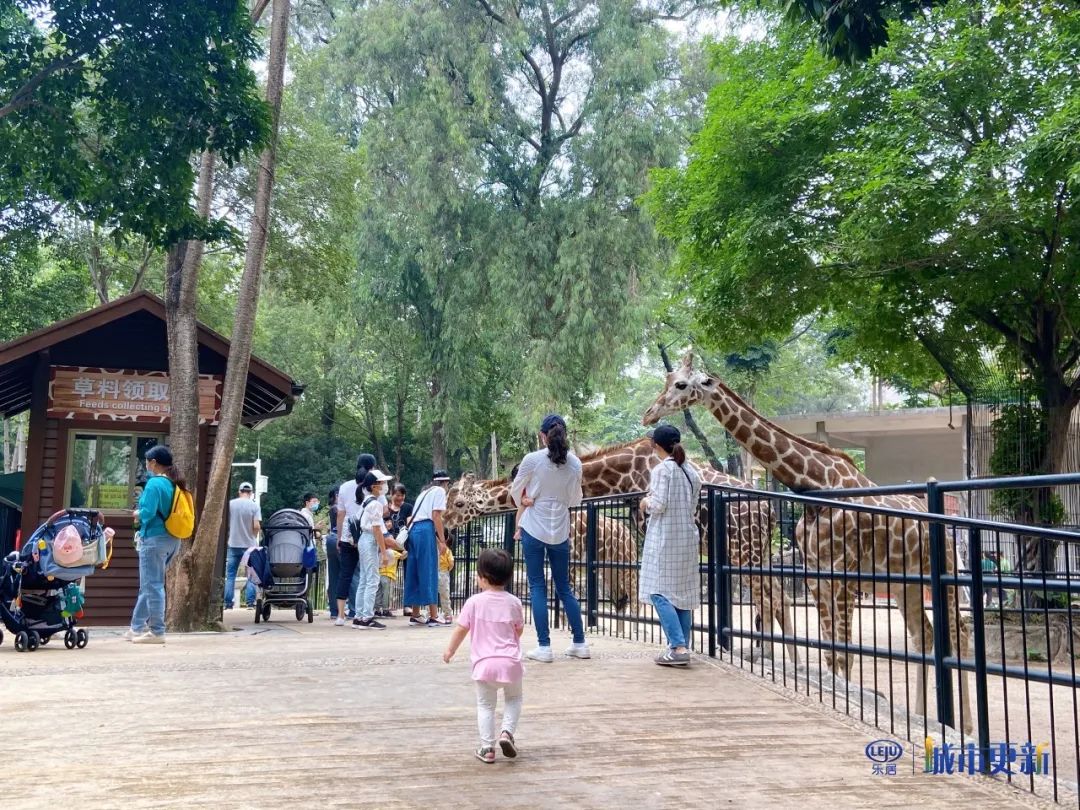 广州动物园什么时候搬迁,广州动物园搬迁