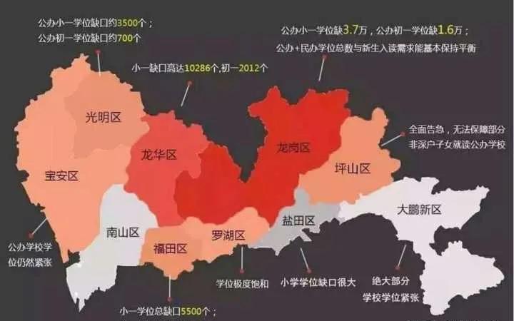 在深圳孩子的日常生活,人在深圳的故事