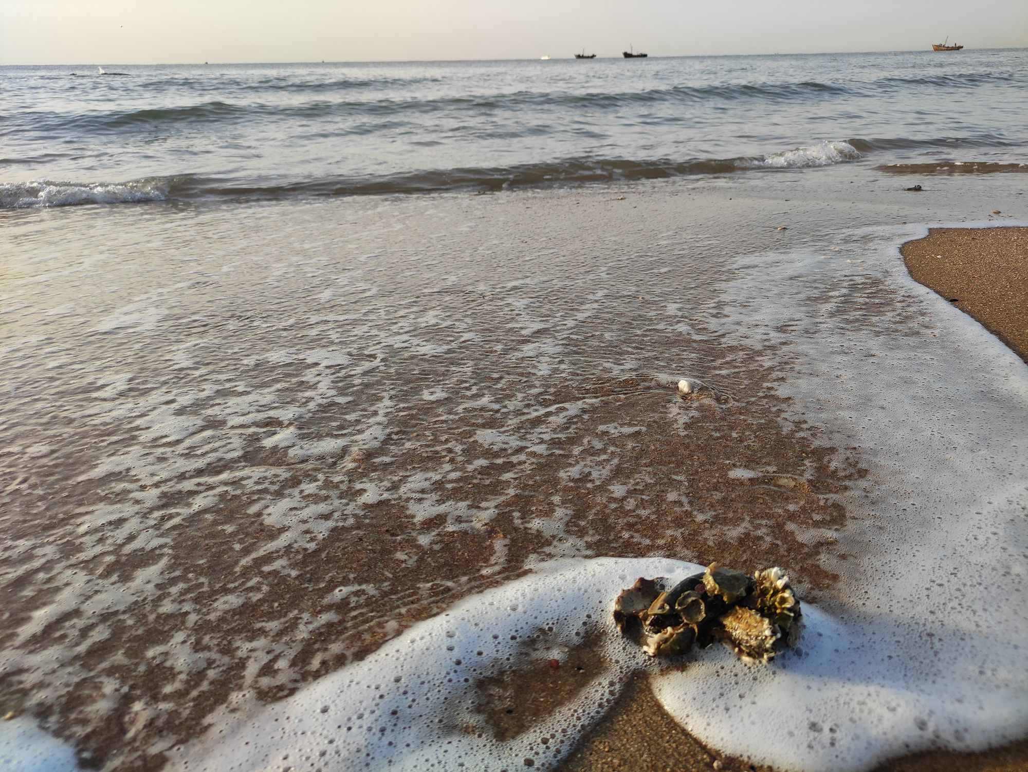 欣赏年画、邂逅大海、闲逛宜家，将生活过成诗与远方