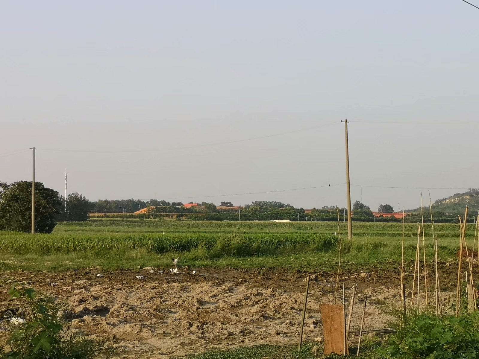 摩托自驾景点附近,蚌埠古迹半日游