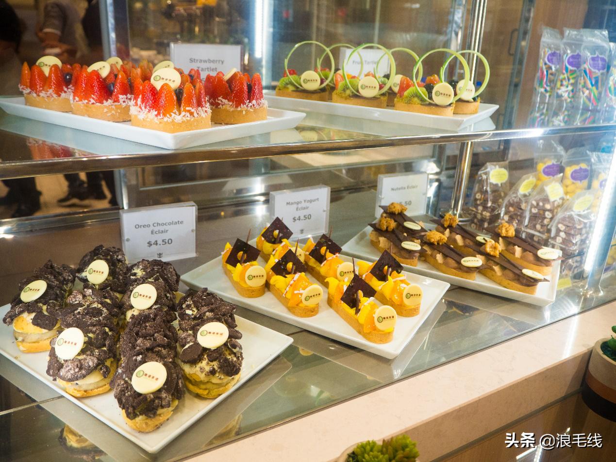 海洋光谱号邮轮游玩攻略,海洋光谱号邮轮旅行攻略