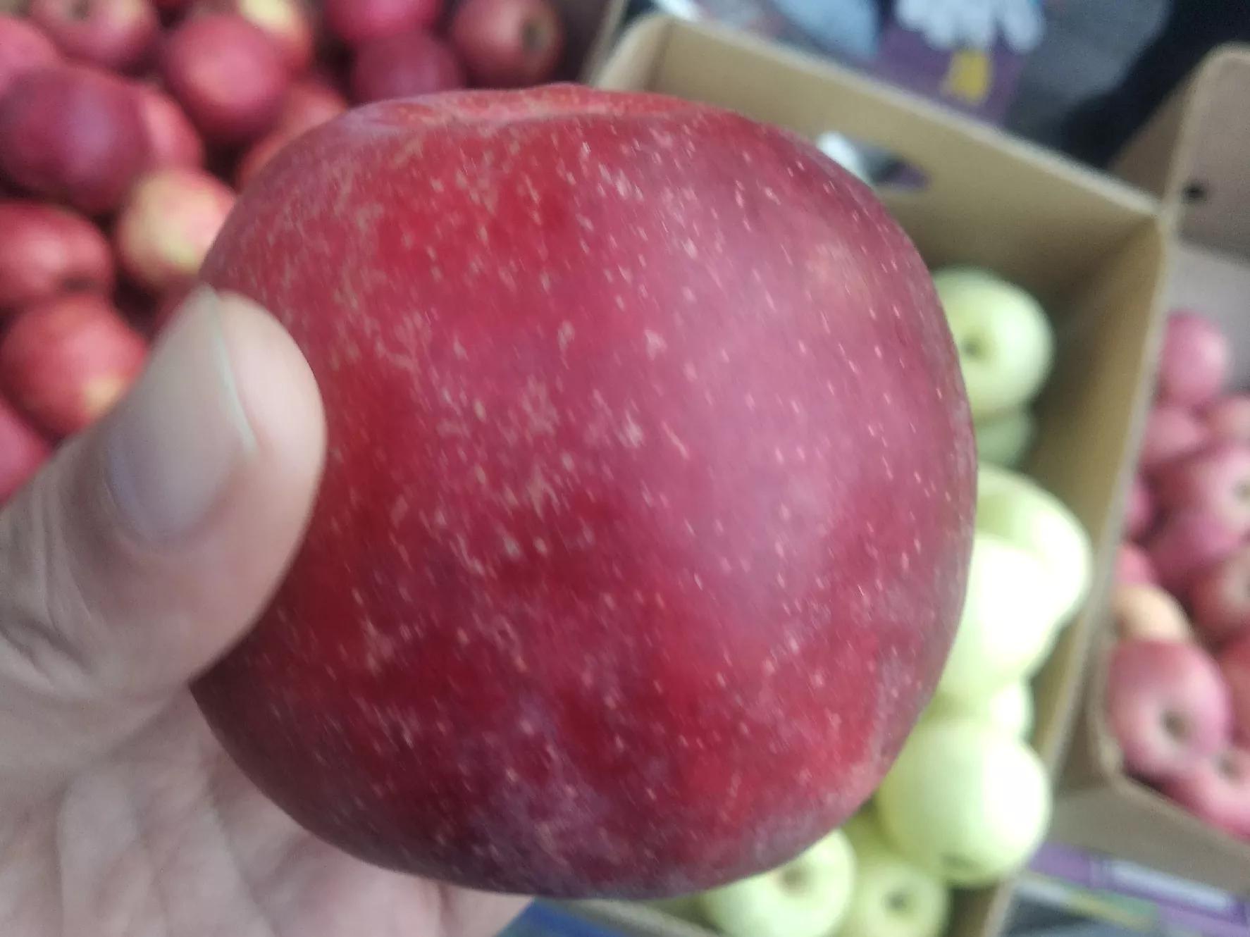 怎样挑选苹果的正确方法,买苹果选啥样的好