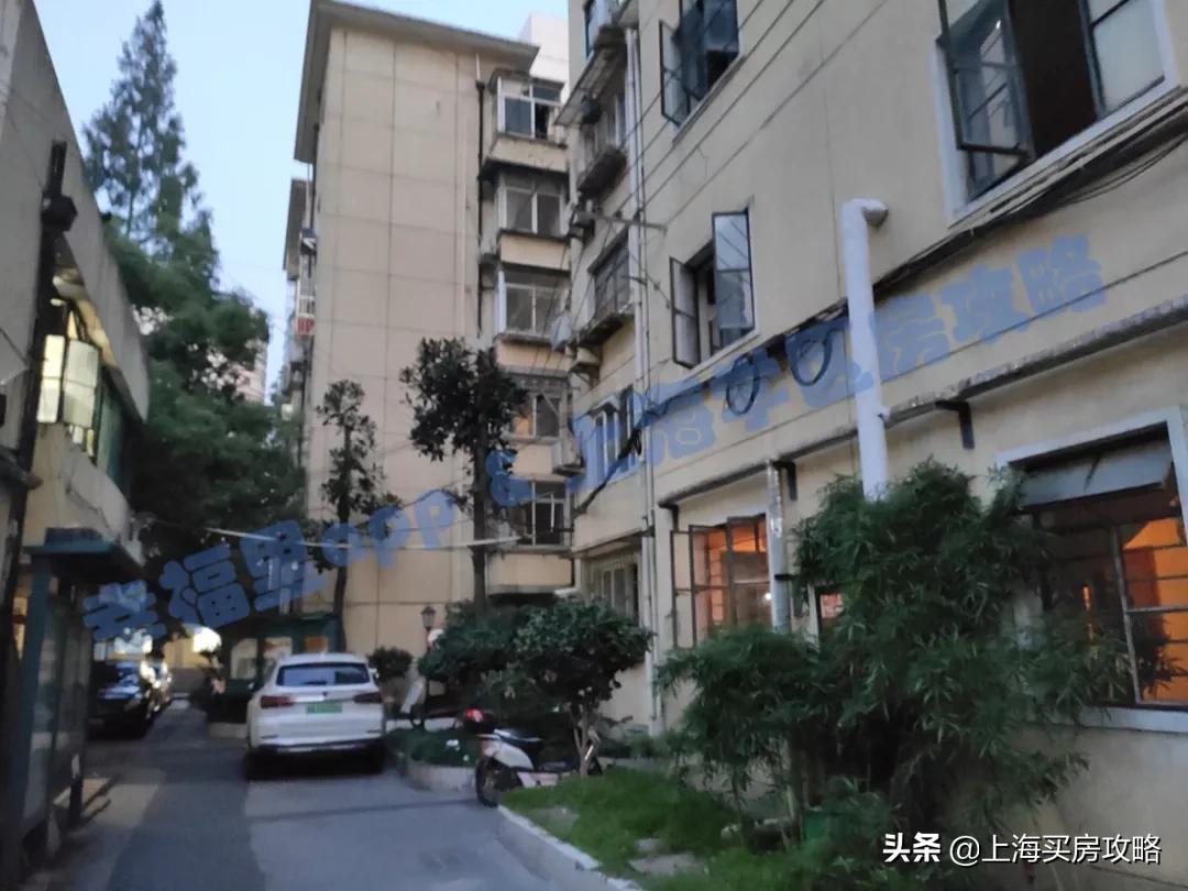 徐汇四大公办小学对比,上海汇师小学和分校