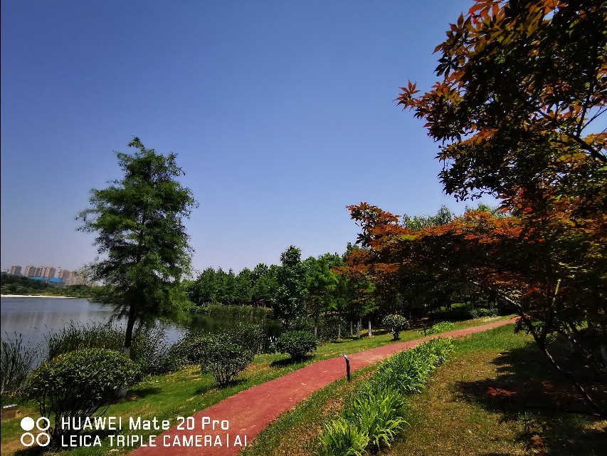 大美滨湖全景图,合肥滨湖塘西河公园美景
