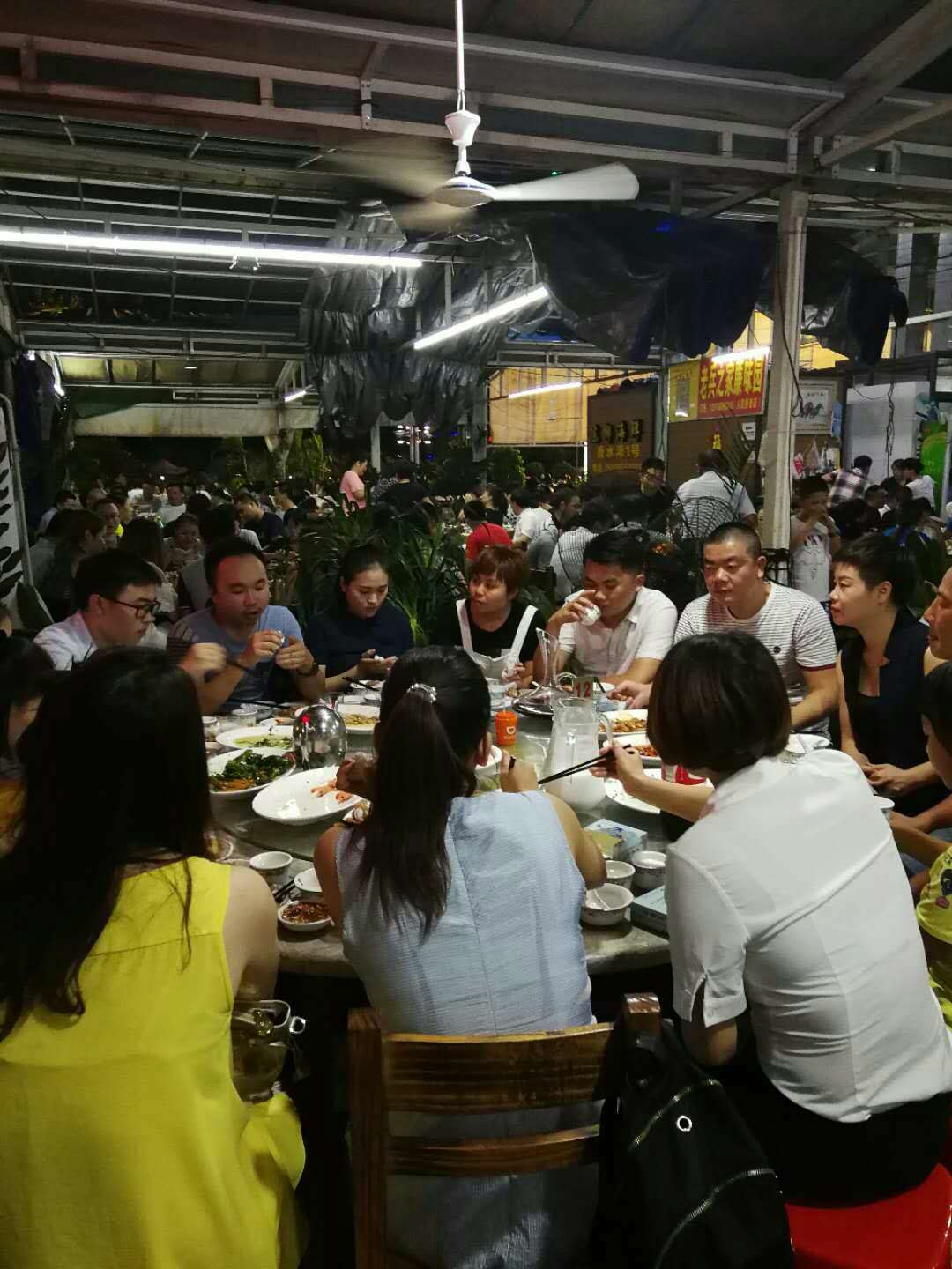 我的海南之旅作文,从海口到三亚感受海南的无限魅力