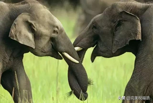 今天2.1，2月第1天，谁编的，太好笑了，给群里乐一乐~