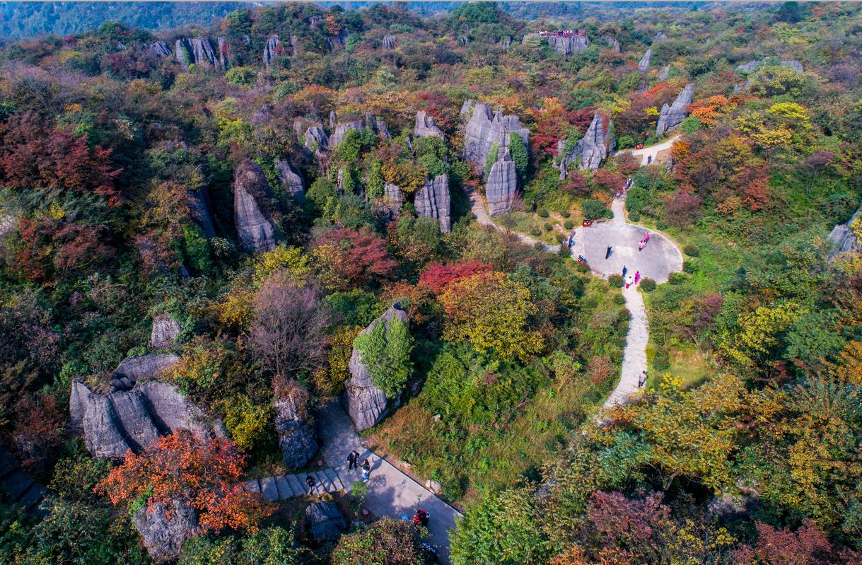 重庆之旅怎么样,重庆避暑5日游攻略从南川开始