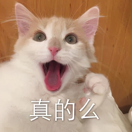 警惕!过去7天23人都因为这个被骗,人均损失5万!