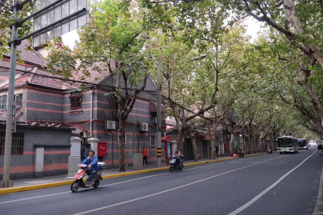 魔都网红马路视频,魔都值得散步的马路