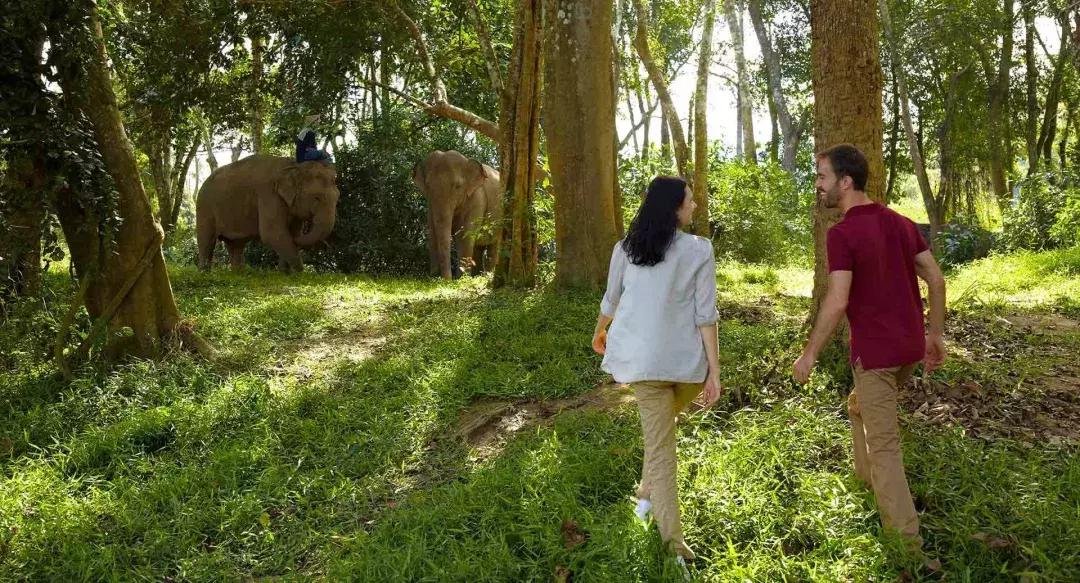 泰国泼水节狂欢六日游,泰国泼水节电音节攻略