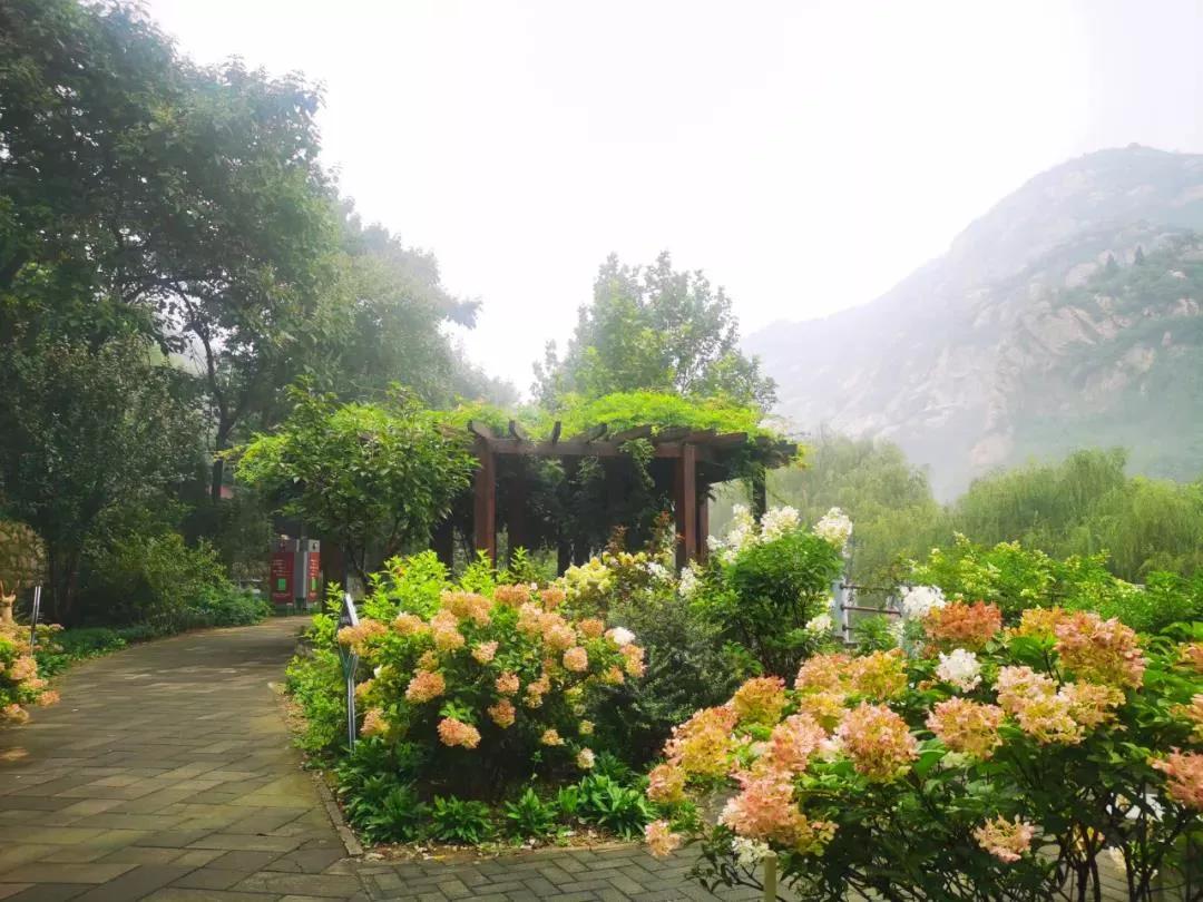 怀柔五一青龙峡最新攻略,打卡青龙峡景区