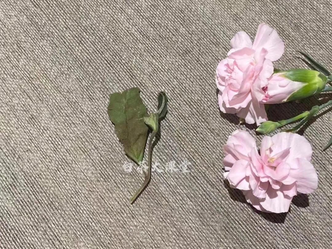 买的茶怎么防止被骗,如何才能买到好茶