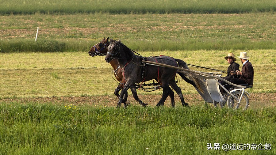 兰卡斯特宾夕法尼亚,兰卡斯特大学lancaster