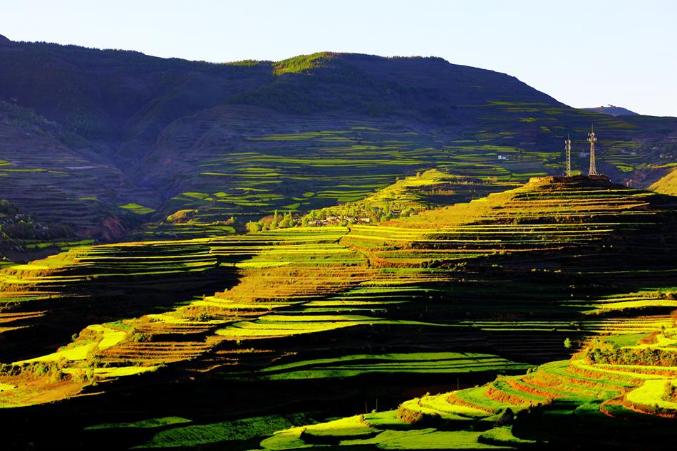 武山县油菜花最佳线路,武山油菜花海路线图