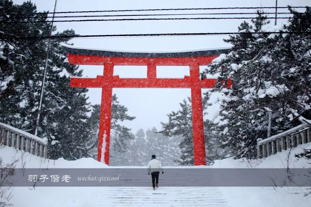 不会日语日本自由行好吗,不会日语的北海道自由行攻略