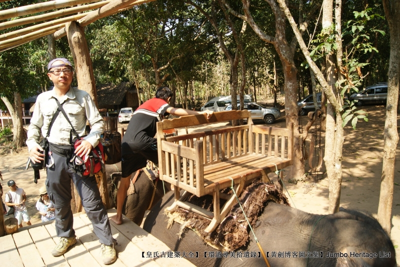 第1844回:皆伐破坏栖息生态,间伐劳工大象伐木