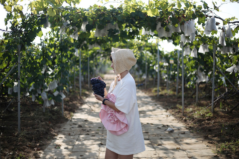 两天一夜游密云,密云两日游最佳攻略