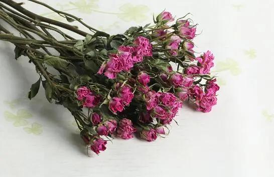 满天星永生花和干花区别,永生花和干花区别简单易懂