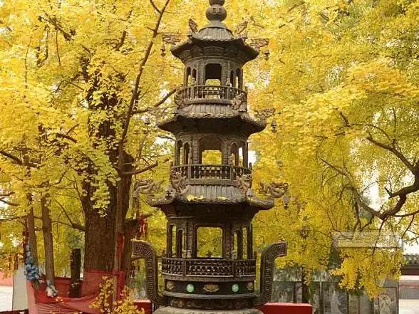 京郊好玩的,京郊最值得旅游的地方