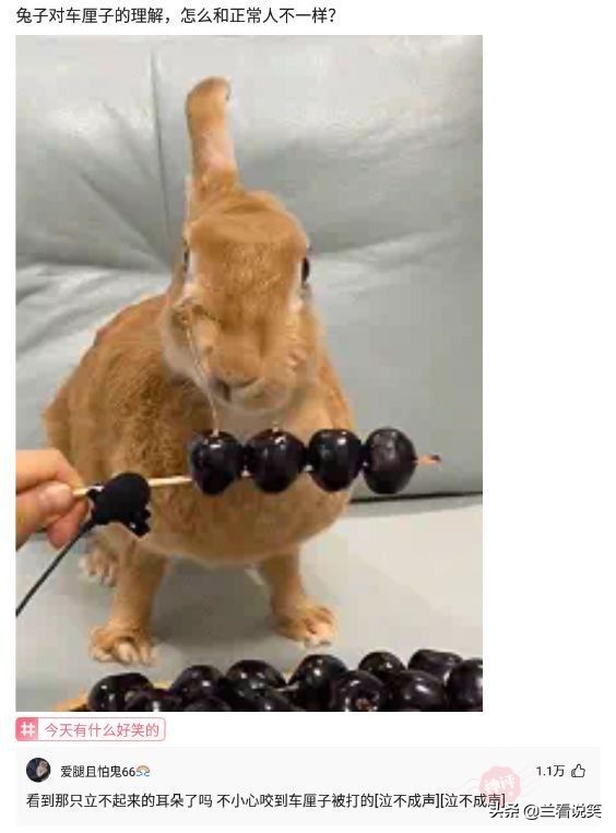 情侣接吻不觉得恶心吗神回复,让人猝不及防的神回复情侣