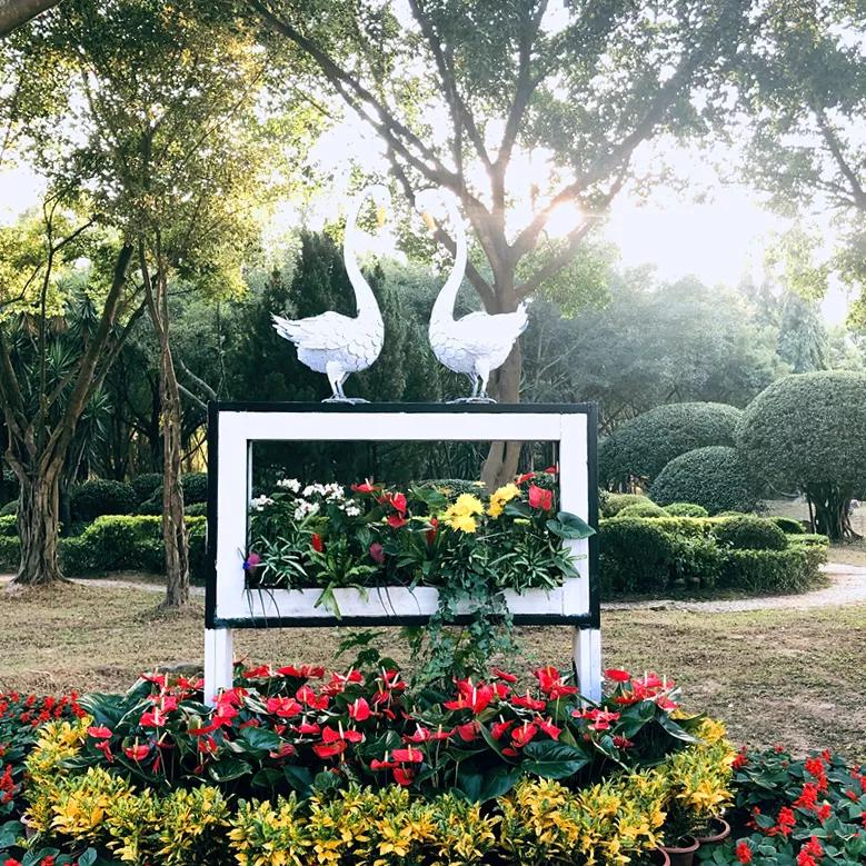 东南花都花博园景观,东南花都花博园